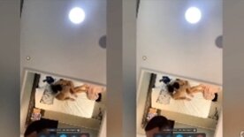 Evy vieira deixa o sortudo chupar a bucetinha molhada e depois dá uma mamada na pica