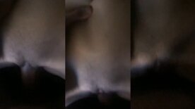 Sem camisinha a gotica da buceta perfeita AboutSoffy senta bem safada na pica do namorado