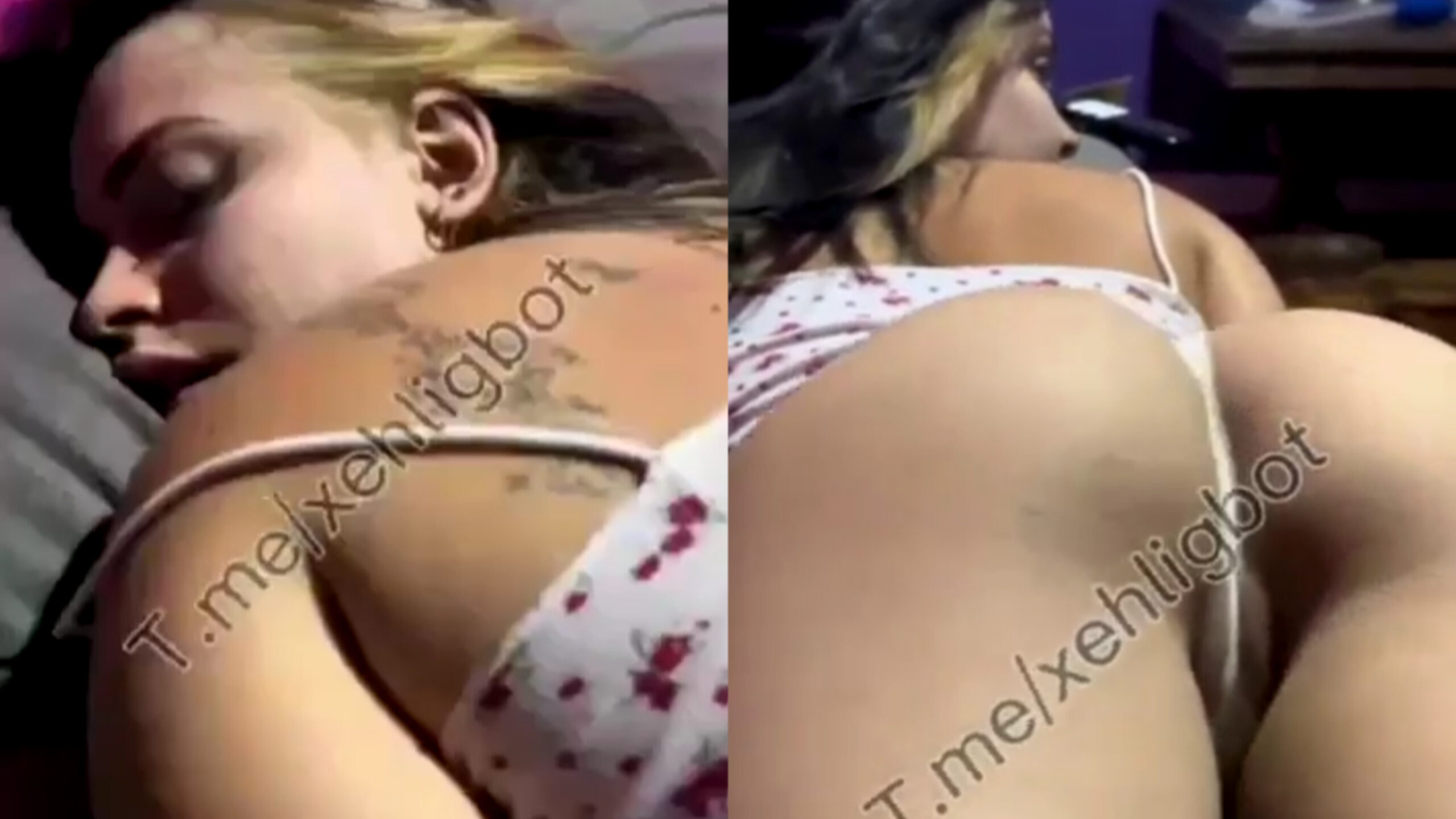 Xehli G OnlyFans Grátis Peladinha Mostrando A Buceta De Quatro  